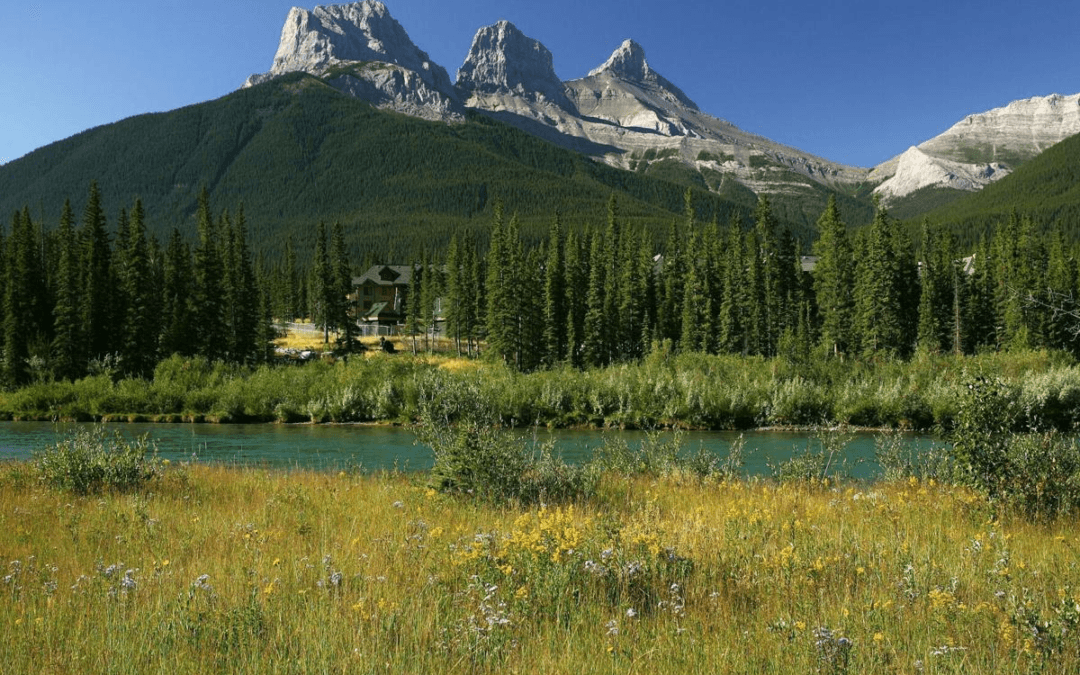 Toronto Star Opinion Piece: I spend my summers in Alberta. It’s hard to believe this province wants to tear the country apart